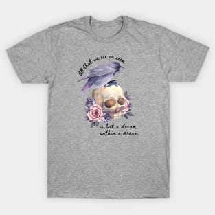 A Dream Within A Dream T-Shirt